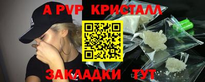СК Кингисепп