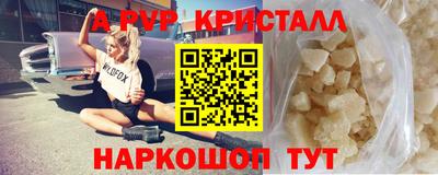 СК Кингисепп