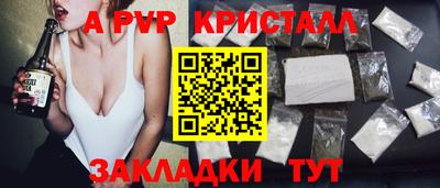 СК Кингисепп