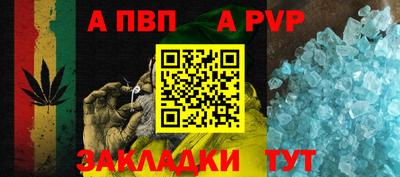 СК Кингисепп