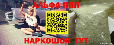 СК Кингисепп