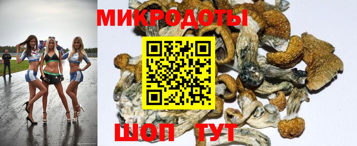 закладка  Вход с VPN  Биробиджан  Псилоцибиновые грибы GOLDEN TEACHER  Галлюциногенные грибы Psilocybine cubensis 